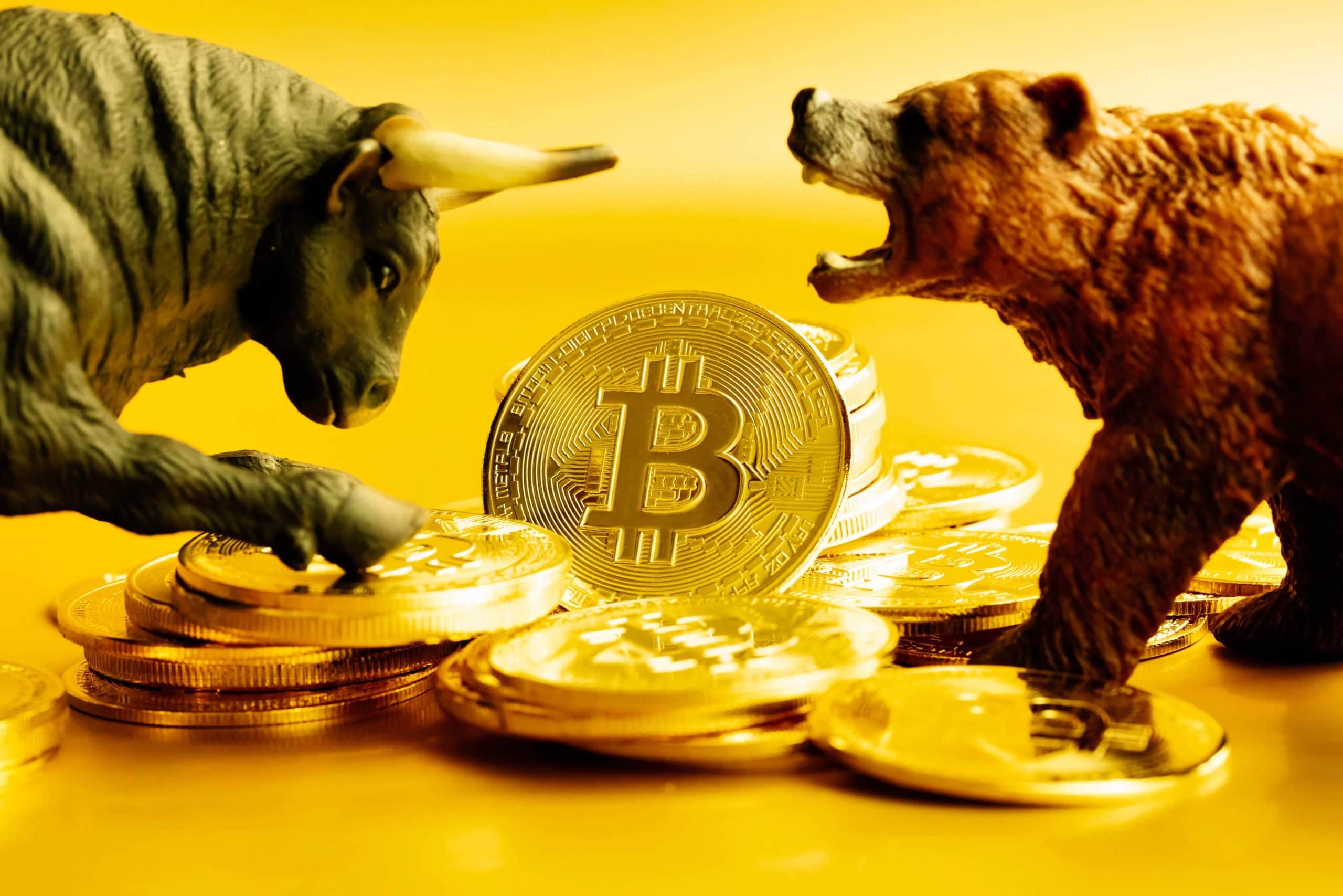 Ein Bulle und ein Bär ringen um einen Stapel Bitcoin-Münzen
