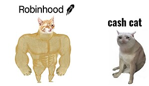 Eine muskulöse Katze steht neben einer weinenden Katze. Über der ersten steht Robinhood über der zweiten Cash Cat.