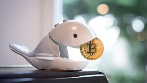 Ein Wal aus Plastik hält einen Bitcoin im Mund.