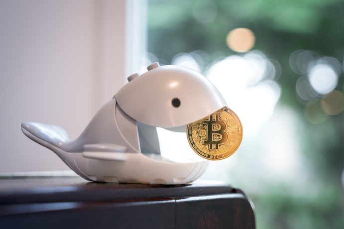 Ein Wal aus Plastik hält einen Bitcoin im Mund.