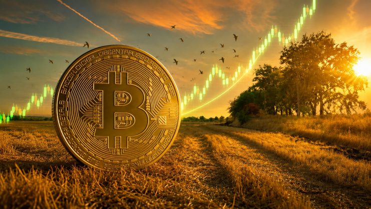 Bitcoin-Münze vor Spätsommerhintergrund