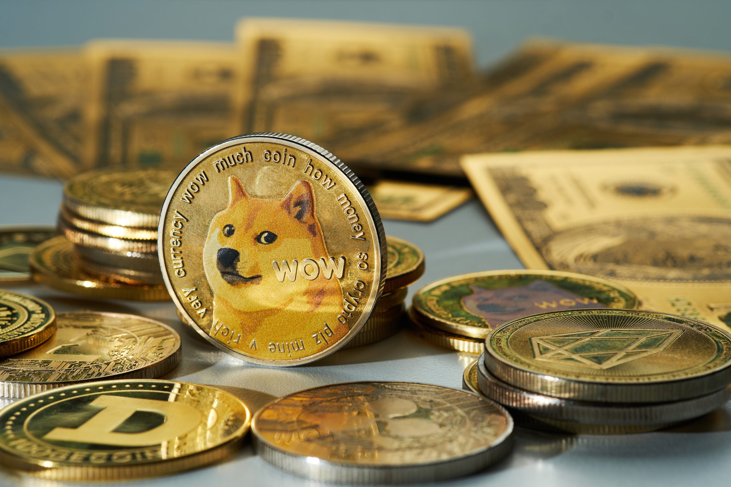 Eine Dogecoin-Münze