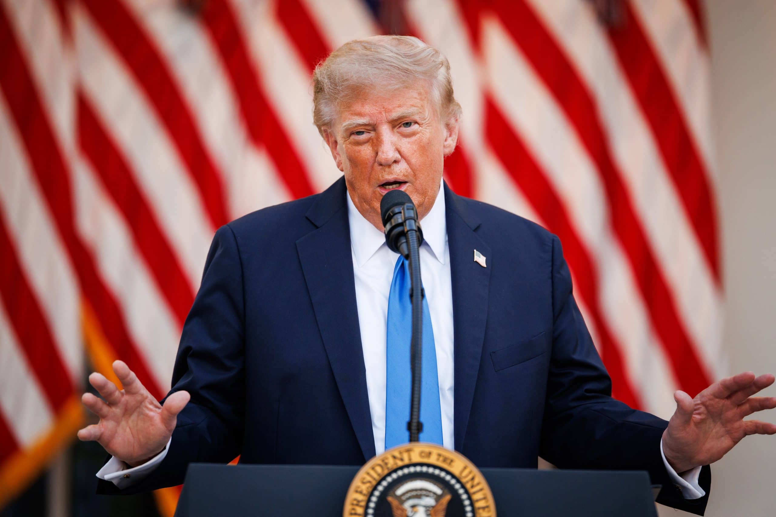Das Bild zeigt Donald Trump